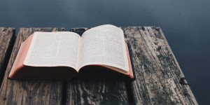 Daha Önce Okumamış Olanlar İçi̇n Dünya Klasikleri Daha Önce Okumamış Olanlar İçi̇n Dünya Klasikleri