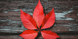 Ünlü Şairlerden Pazar Şiirleri Ünlü Şairlerden Pazar Şiirleri