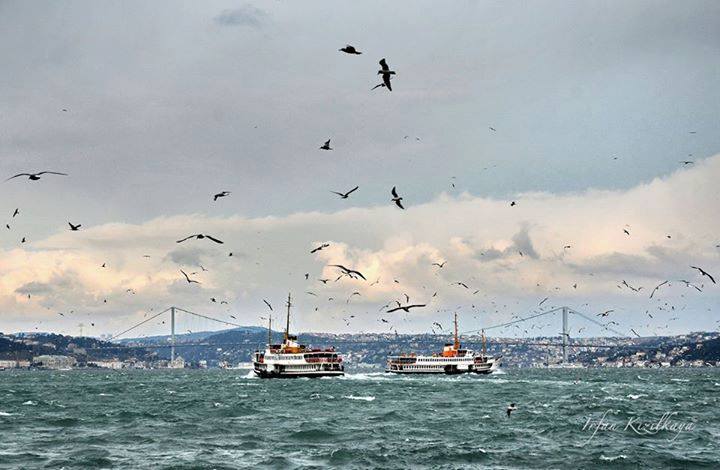 Hayata Sesleniş
