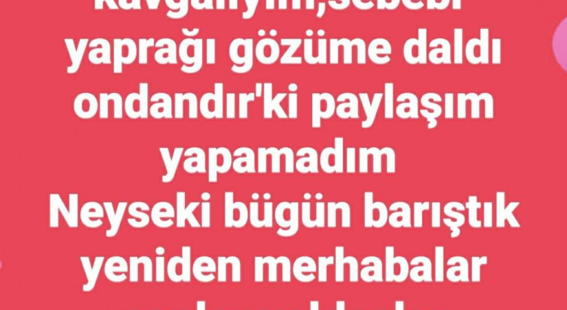 Ol Hakikat / Zeytin Kendi Kırmış O Dalını