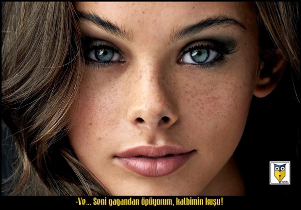 Şairce İlan-ı Aşk