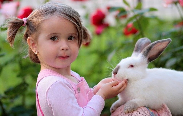 Dost Arar İsen