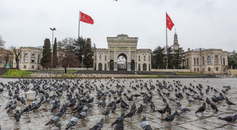 Salgının Salgını