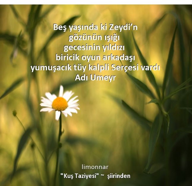 Kuş Taziyesi