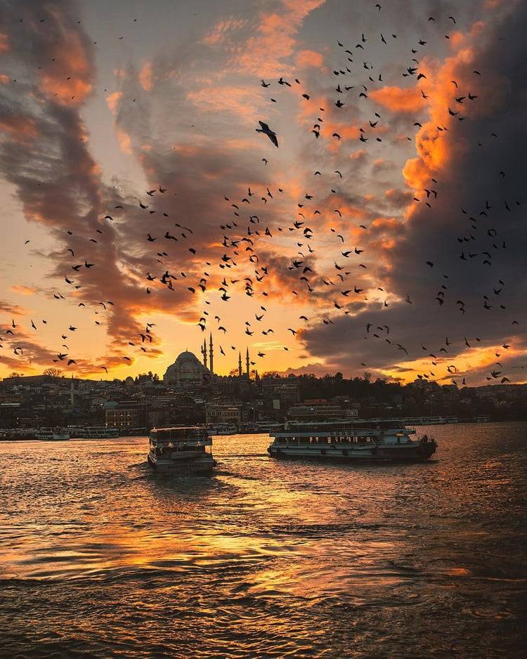 Alıştırılmak