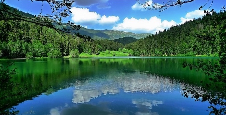 Yeşil Artvin