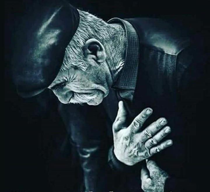 Gelincik Bitkisi