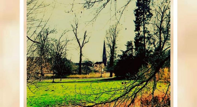 Boş Kovan