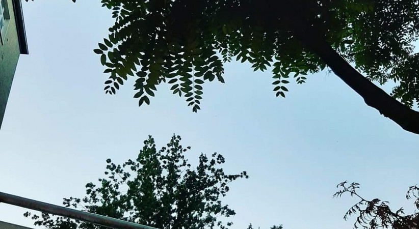İpini Koparan Gidiyor