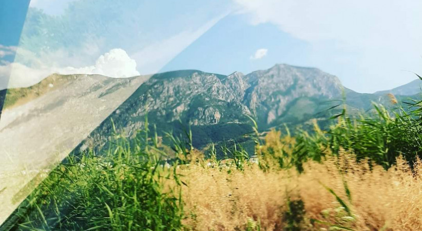 Bırak Düşsün Yapraklar
