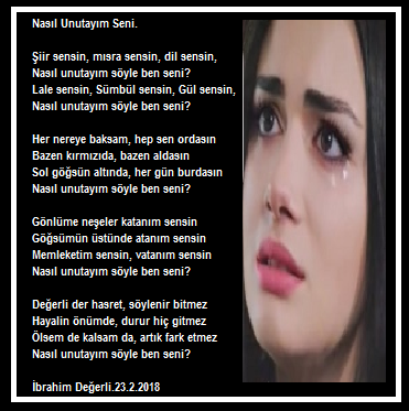 Nasıl Unutayım Seni?