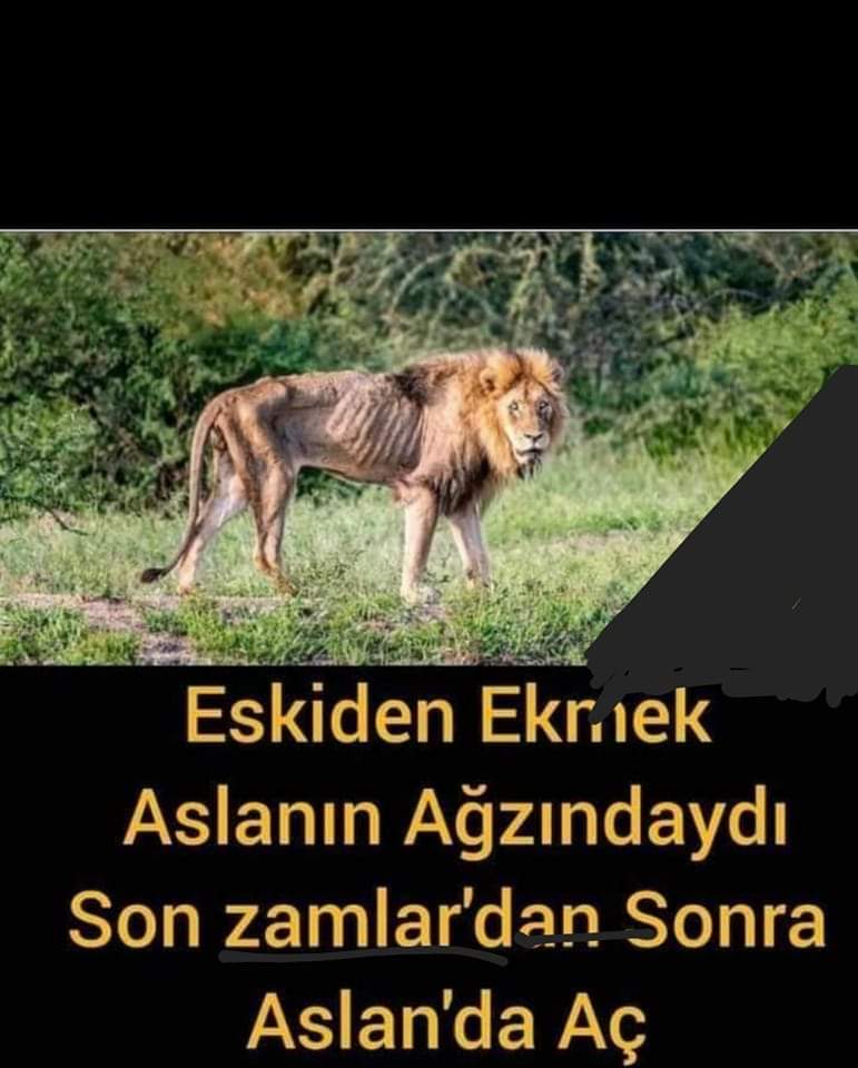 Taban Uyanıyor Taban