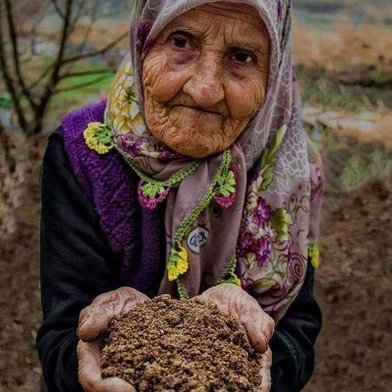 Hanum Ana