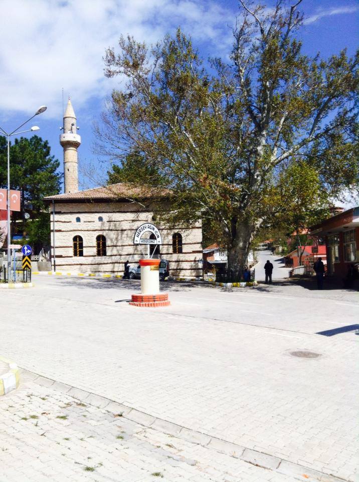Arayış