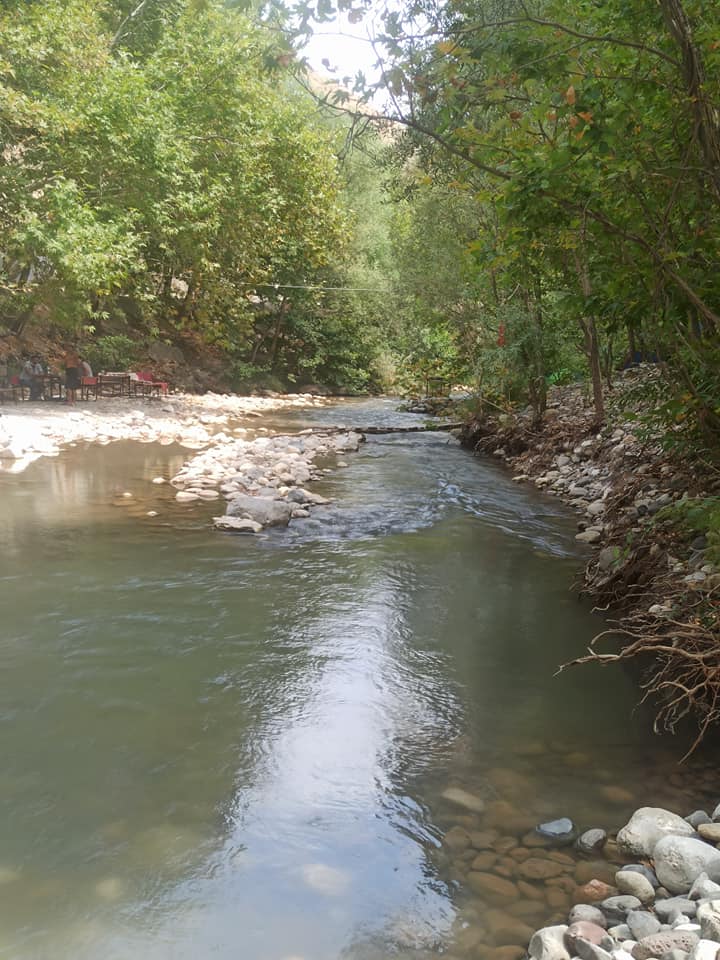Köyün Varlığı