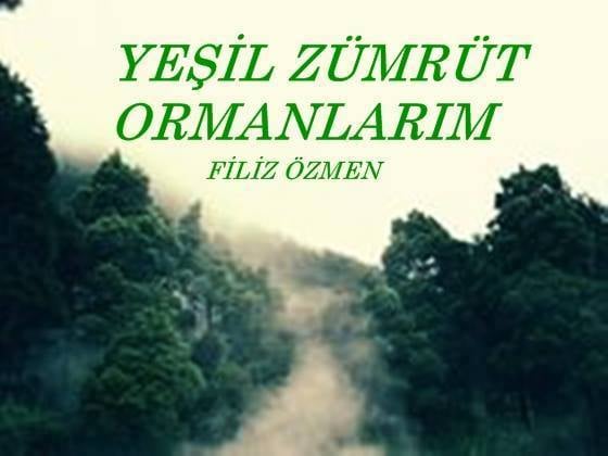 Yeşil Zümrüt Ormanlarım