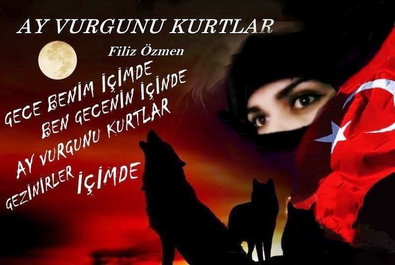 Ay Vurgunu Kurtlar