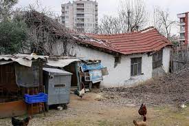 Kapının Gıcırtısı