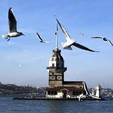 Edilsin İtiraflar