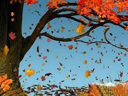 Bugün mü Böylesin Yoksa Hergün mü