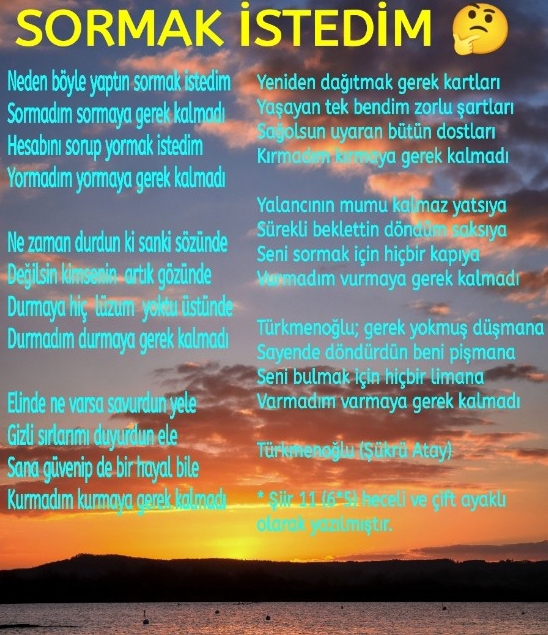 Sormak İstedim