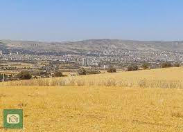 Köyün Tarlası