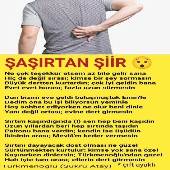 Şaşırtan Şiir