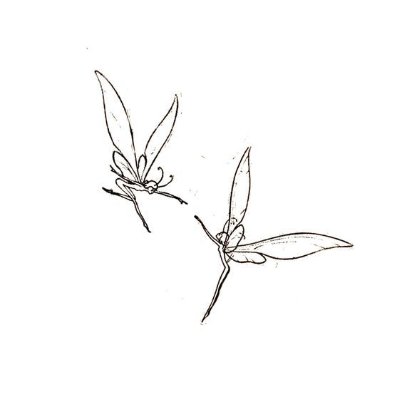 Seda