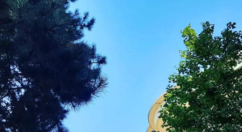 Kahır Edilesi Göyalar