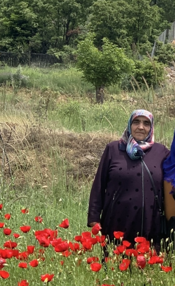 Teyze Kızı