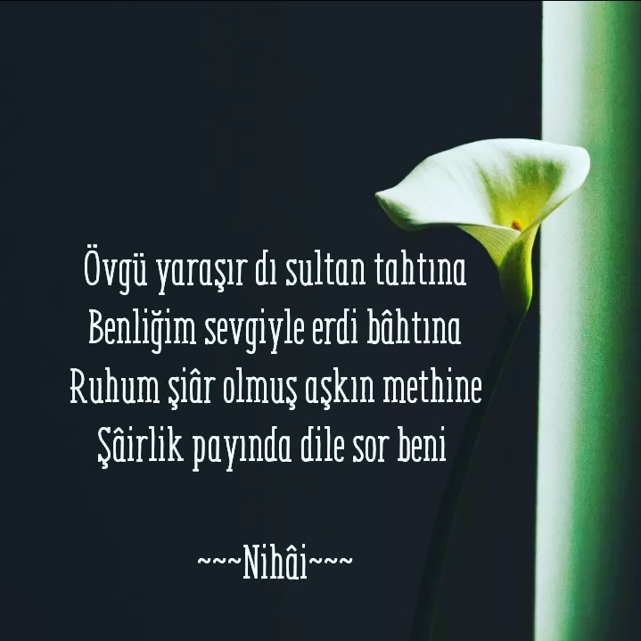 Bir Sana Divaneyim