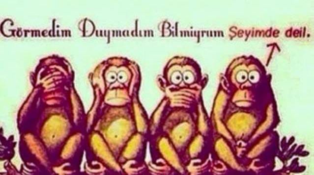 Topuk Kanı