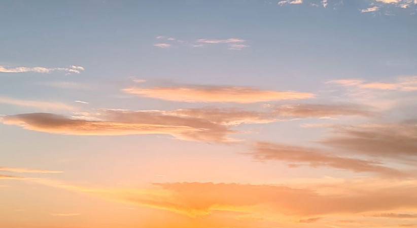 Münzevi Kalpler İçinde