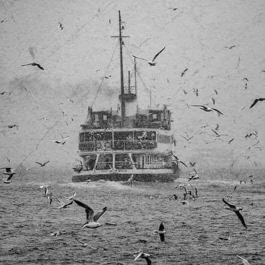 Piraye İle Yaş Değişim