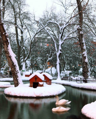 Yıldız Yalnızlığı