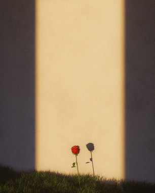 Ölü Mevsim Çiçeği