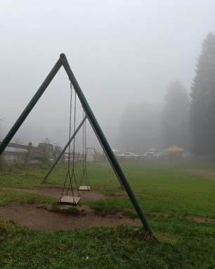 Kanatlı Uçamayan Kuş