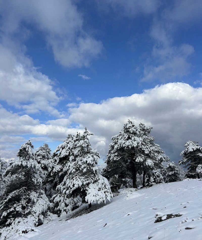 Mevsimsiz Yeşil Kent Güncellemesi