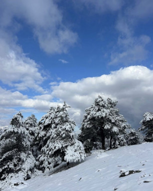 Mevsimsiz Yeşil Kent Güncellemesi
