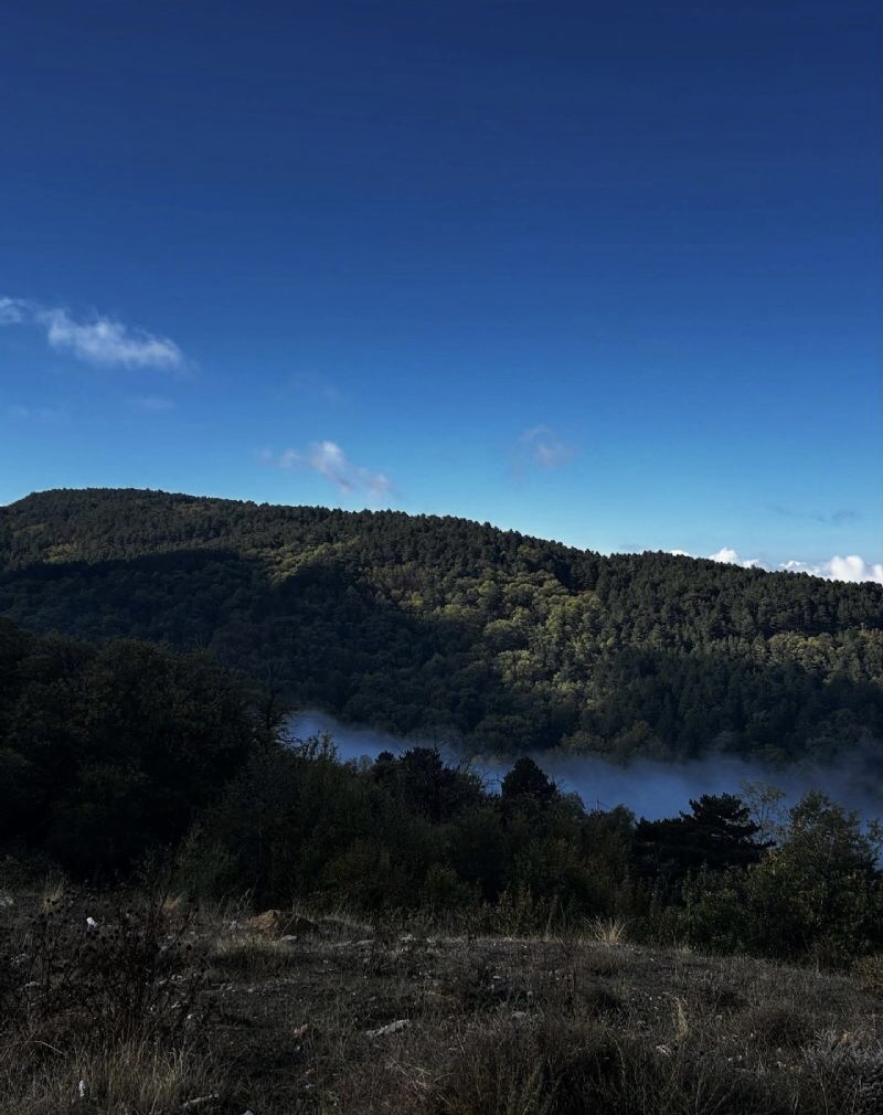 Mevsimsiz Yeşil Kent Güncellemesi 2
