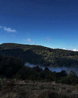 Mevsimsiz Yeşil Kent Güncellemesi 2